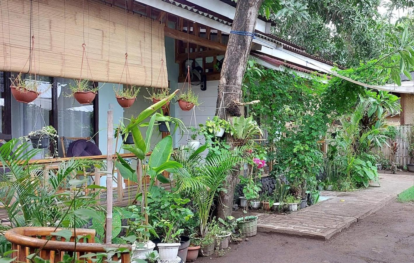 מלון Marta House גילי אייר מראה חיצוני תמונה